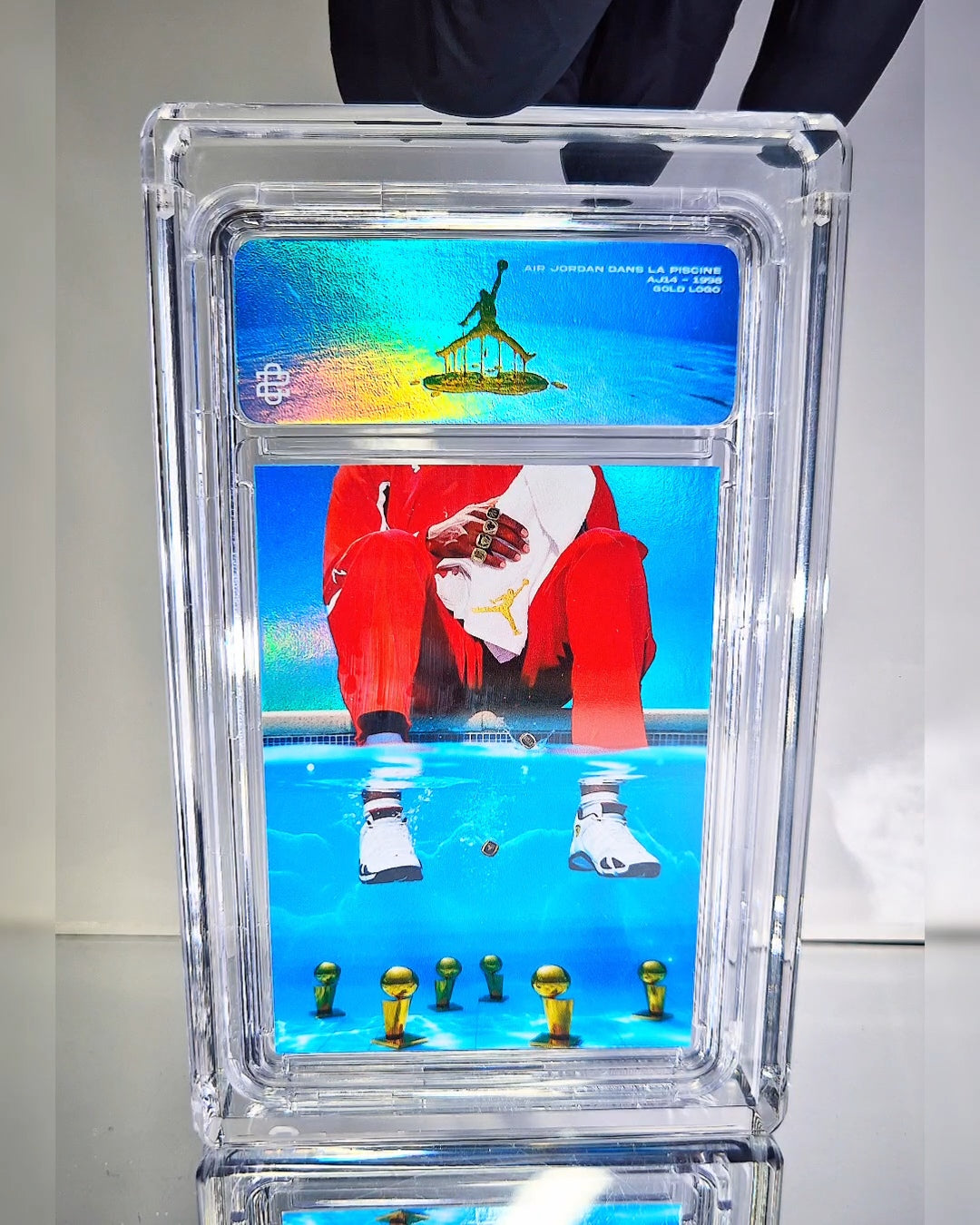 AIR JORDAN DANS LA PISCINE -