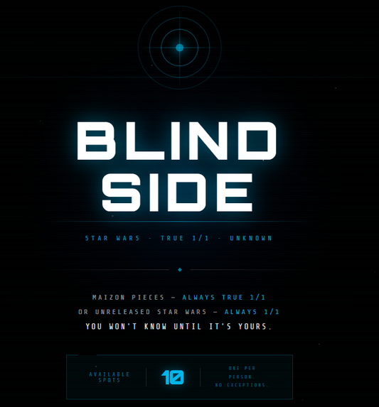 BLIND SIDE - 10 SPOTS