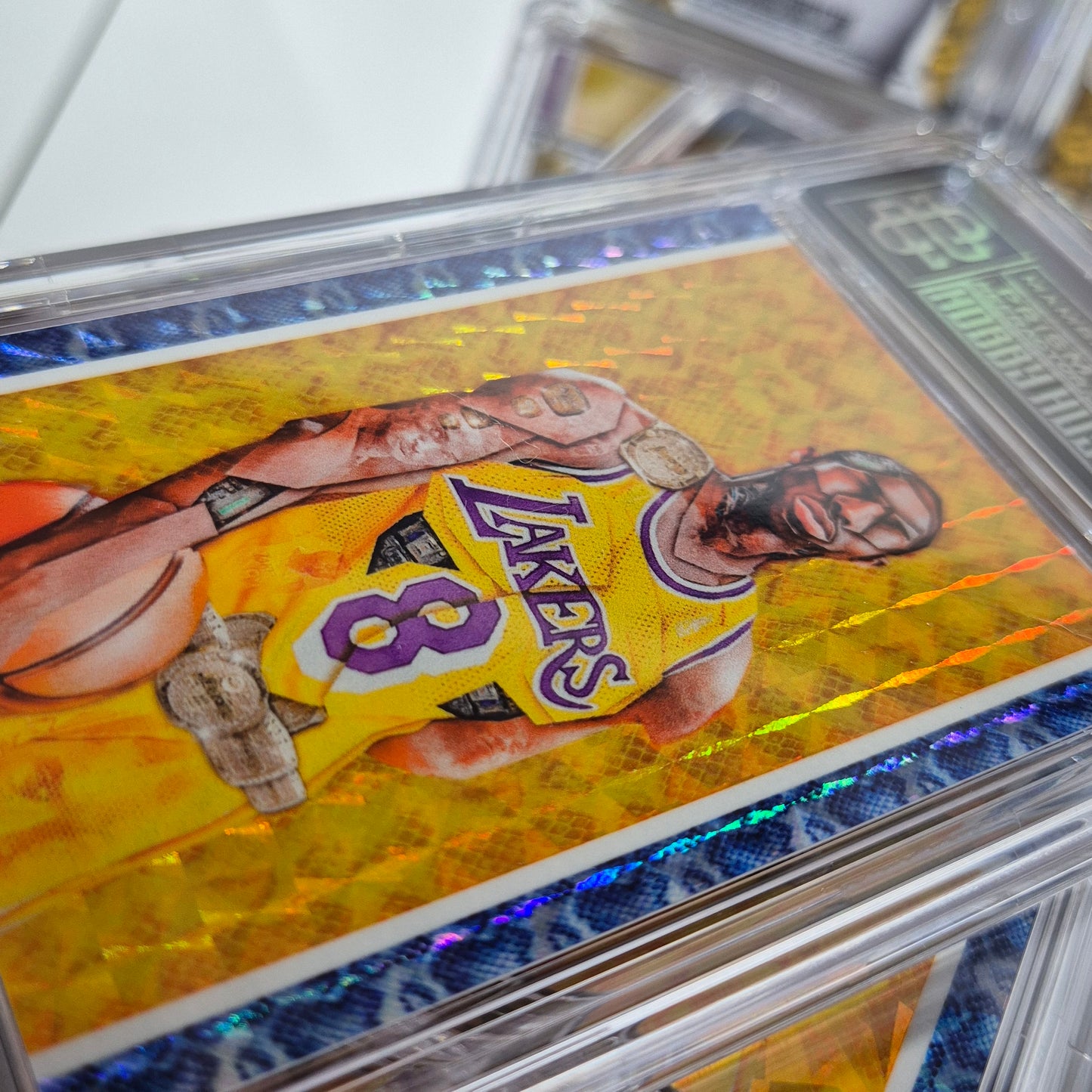 [1of1] MAMBA MENTALITY - SNAKE BORDERS