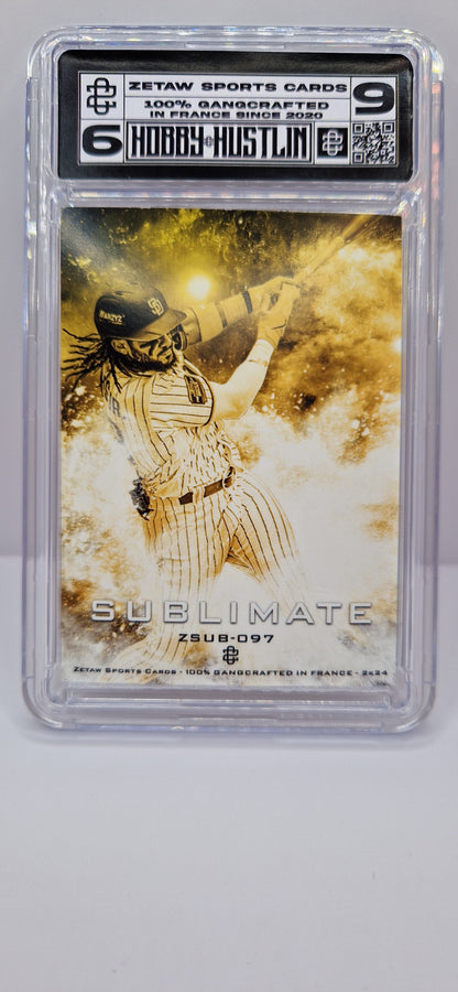 [SUBLIMATE] FERNANDO TATIS JR  - HR