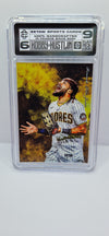 [CANVAS] FERNANDO TATIS JR