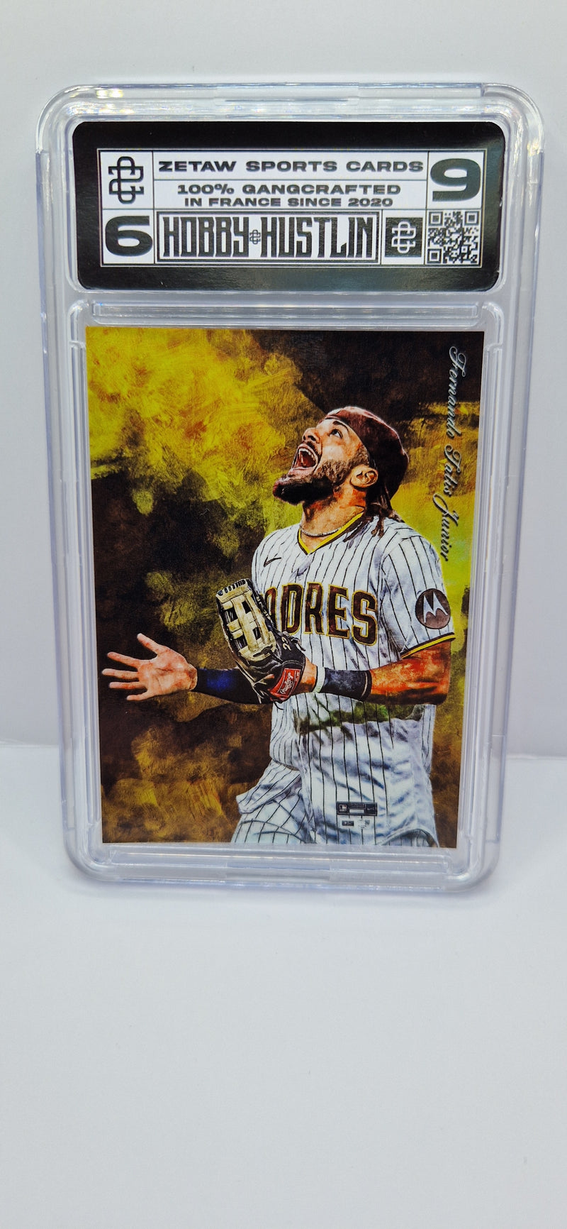 [CANVAS] FERNANDO TATIS JR